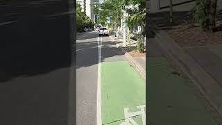 Dashcam Block bike lane cyclist Harbord Ave Toronto Canada