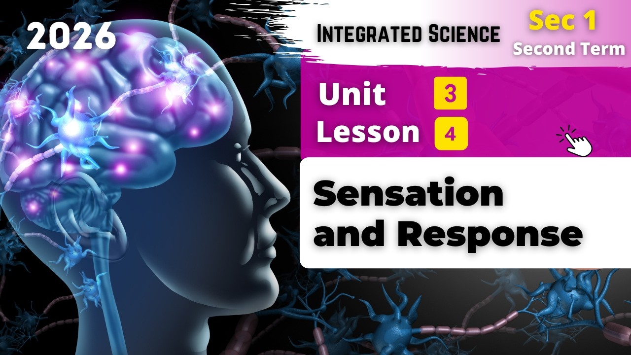Sec.1 | Sensation and Response | Unit 3 - Lesson 4 | Integrated Sciences