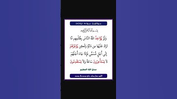 سورة النحل - سورة 16 - اية 61