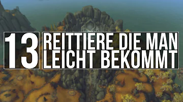 Wie bekommt man Reittiere in WOW?