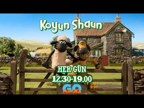 Koyun Shaun |