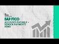 SAP FICO | Accounts Payable - Vendor Payments Demo