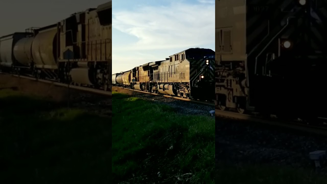 CEFX Leads Through Carstairs Alberta