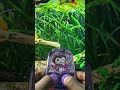 Kuromi Water Gamebot #gaming #squidgame #satisfyingvideo #satisfying #toys