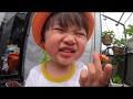 🇯🇵Bất chấp trời chuyển mưa Sa cầm bình đi tưới cây giúp mẹ 🤣, Sa hái dâu & ăn tại gốc #2