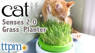 Senses 2.0 Grass Planter from Catit
