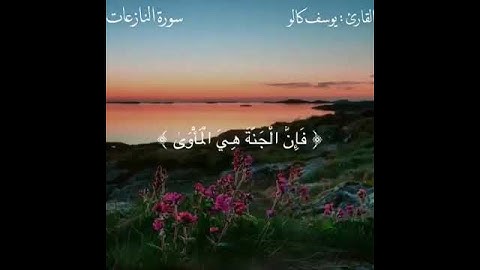 تلاوة خاشعة مميزه اجمل صوت تسمعه بصوت يوسف كالو