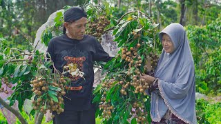 Memetik Kelengkeng di Kebun | Memasak Tumis Pare Ati Ampela, Tahu Berontak, dan Es Kelengkeng Segar