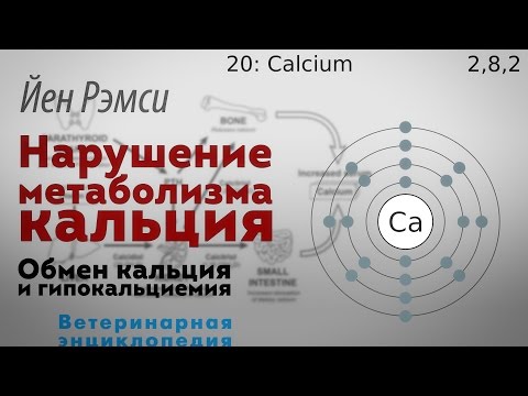 Видео: Послеродовой низкий уровень кальция в крови у кошек