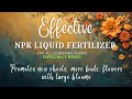 Effective NPK Liquid Fertilizer ✨| Jakkamma Latha | Organic Gardening 💫