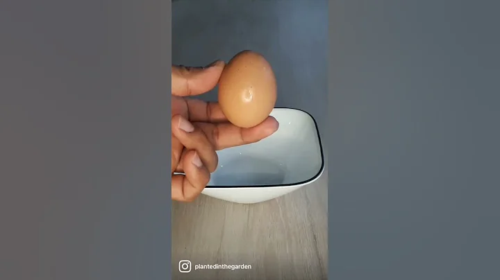 Make eggshell powder - DayDayNews