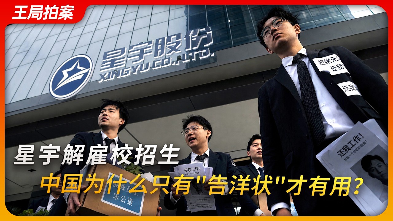 星宇为什么要解雇校招生?在中国为什么只有“告洋状”才有用?|王局拍案20260907