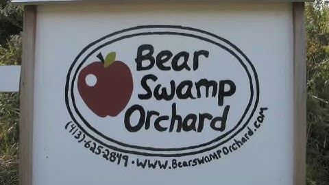 Small Scale Cider pressing