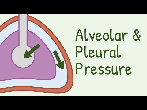 Video: Proč je intrapleurální tlak negativní?