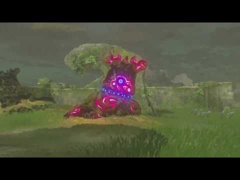 ゼルダbotw 大事な物 パラセール の効果 能力 入手方法 ブレスオブザワイルド 攻略大百科