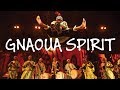 MOROCCAN TRADITIONAL MUSIC 1Hr Of Moroccan Gnaoua Music 