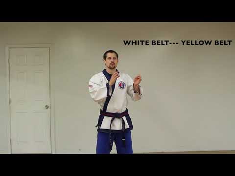 Karate kicking drills