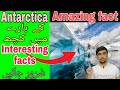 Interesting facts about Antarctica.m2 amazing fact by Rehman Khan.
