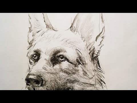 素描画2点 hqdefault.jpg