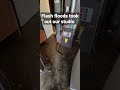 The Third Rates Studio Lost To Flash Floods The Third Rates Studio Lost To Flash Floods