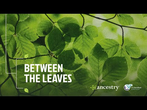 Between the Leaves with The Barefoot Genealogist  | Episode 1 | Ancestry®