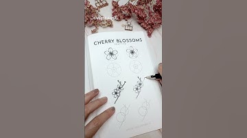 How to draw CHERRY BLOSSOMS
