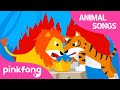 Super Match! Lion vs Tiger | Animal Songs | Learn Animals | Pinkfong Animal Songs for Children