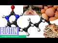 Types Of Vitamins | VITAMINS | Importance Of Vitamins | Biotin |