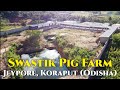 Swastik Pig Farm Jeypore, Koraput, Odisha 4K