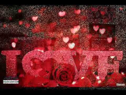 هانى شاكر لوخيرونى