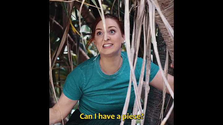 when you have gum at school