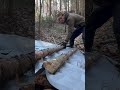 7 DAYS of building Survival Shelters / Bushcraft Earth Hut, log and moss walls