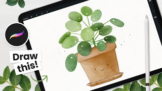 How To Draw: Happy Watercolor Pilea • Procreate Tutorial