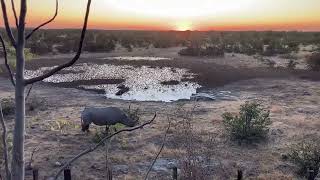 Halali waterhole - Etosha National Park