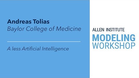 Allen Institute Modeling Workshop | Andreas Tolias