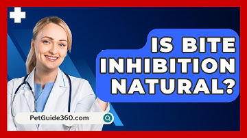 Is Bite Inhibition Natural? - PetGuide360.com