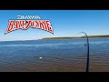 Bream Smashing the Daiwa Bait Junkie Minnow - Nudgee Beach, Brisbane