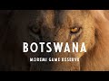 What's a SAFARI like in BOTSWANA??
