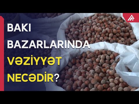 Video: Heyvanların və quşların 3D kağız heykəlləri, detalların dəqiqliyi ilə diqqəti çəkir