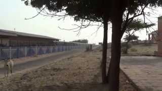 Thar Express footage - The legendary transborder train crossing Indo-Pak border