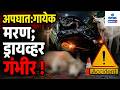 Speeding Swift Hits Cow on Bambolim–Panjim Highway, Driver Seriously Injured | Gomantak Tv