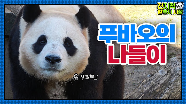 (SUB) Panda Fubao Goes On Outdoor Picnic After A Long Time🐼│Panda World