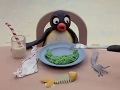 Pingu as a chef  pingu official channel