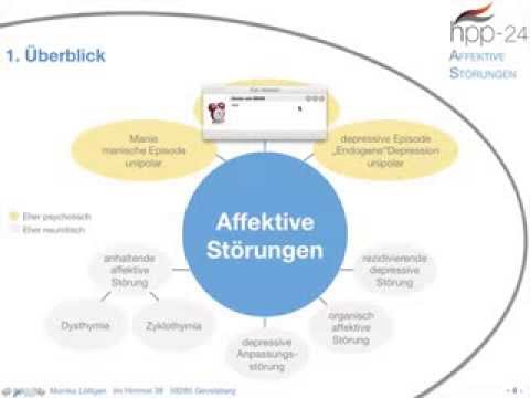 Heilpraktiker für Psychotherapie: Affektive Störungen, Definition und Überblick