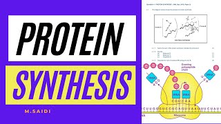 PROTIEN SYNTHESIS EXPLAINED (DNA CODE OF LIFE): GRADE 12 LIFE SCIENCES  BY M.SAIDI THUNDEREDUC