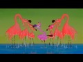 Flamingos from fantasia 2000 camille saintsaens carnival of the animals finale