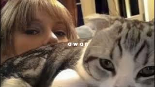 taylor swift - lover (speed up)