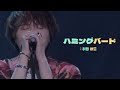 🐦Novelbright - ハミングバード(humming bird)🐦(開幕宣言 TOUR LIVE) [한글자막/일본어발음/lyrics]