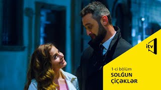 Solğun çiçəklər 1- ci bölüm