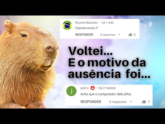 Novos tabuleiros para o canal Capivara do Xadrez 